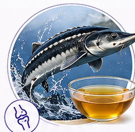 Sturgeon Fish Broth